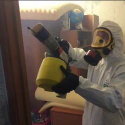 Уничтожение клопов в квартире. Малгобек